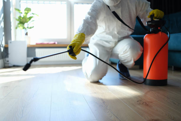 Reliable Odor Removal contractor in Kirkwood, MO by Trauma Clean Pros